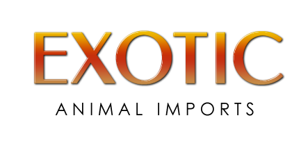 exotic animal imports canada